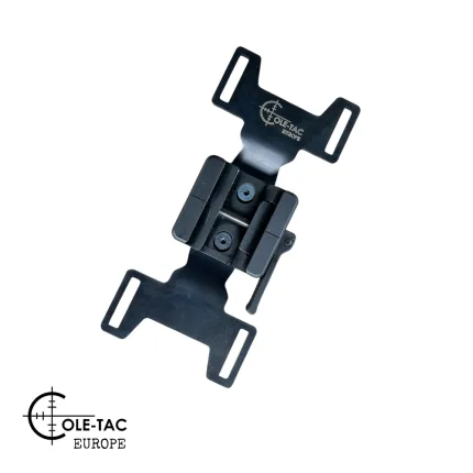 backbone frame